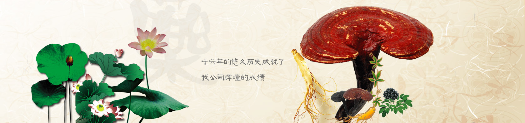 安國(guó)市珍和中藥材有限公司